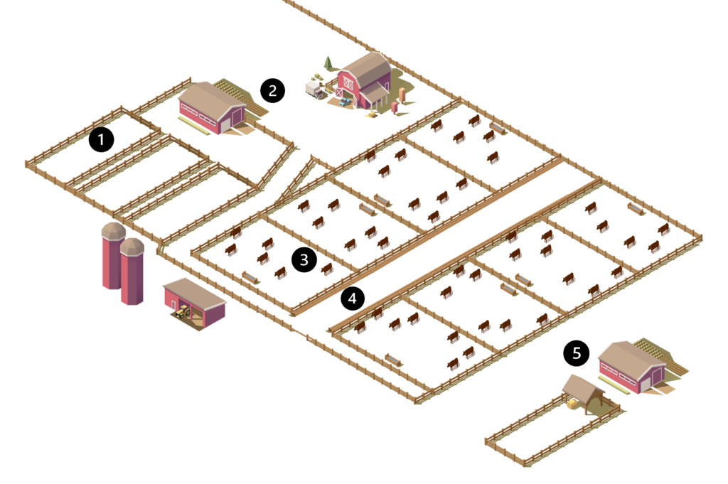 Feedlot - Antimicrobial Resistance Opportunity Mapping